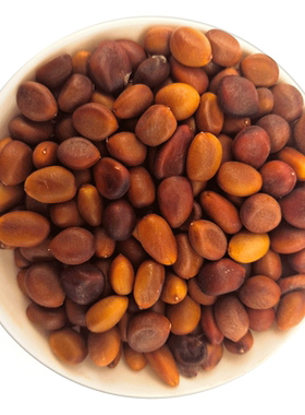 野生皂角米正品旗舰店500g