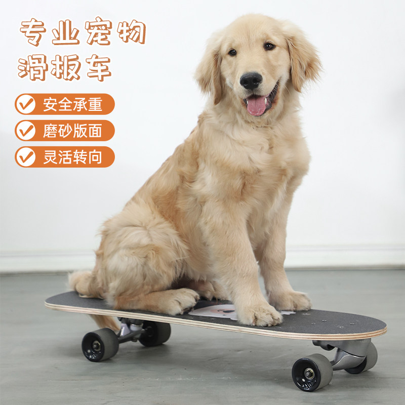 宠物滑板狗狗法斗专用滑板车斗牛犬猫柯基英斗泰迪专业板狗用转弯