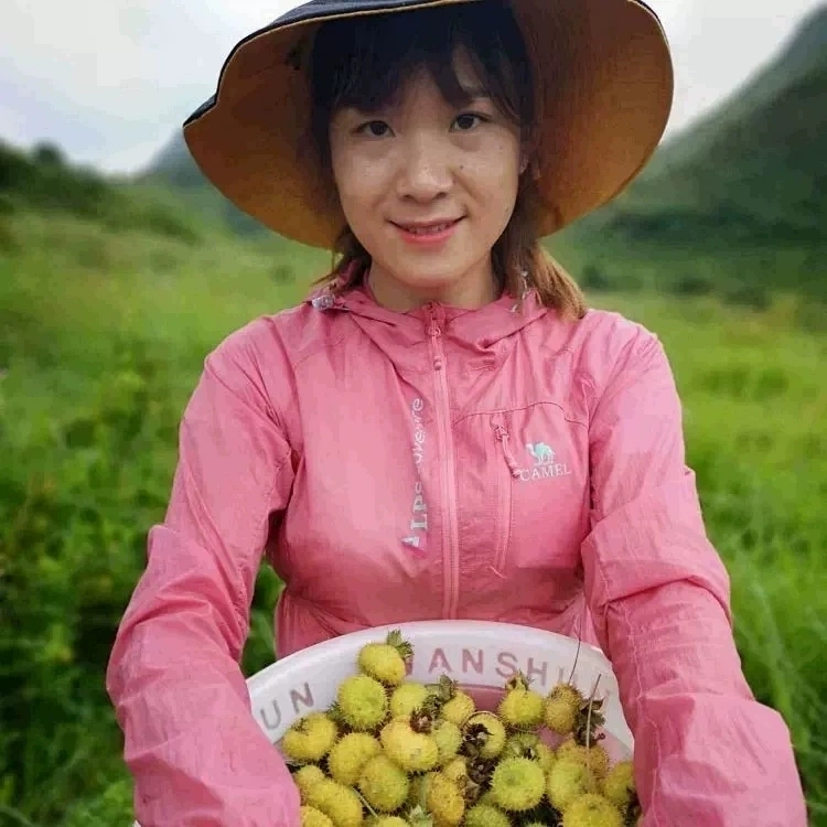 野新生贵州刺梨果干成熟刺梨鲜果低温烘干可桑葚玫瑰花枸杞泡茶水