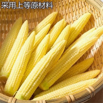 玉米笋400gx5罐头粟米笋火锅食材材料凉拌新鲜嫩玉米笋玉米仔