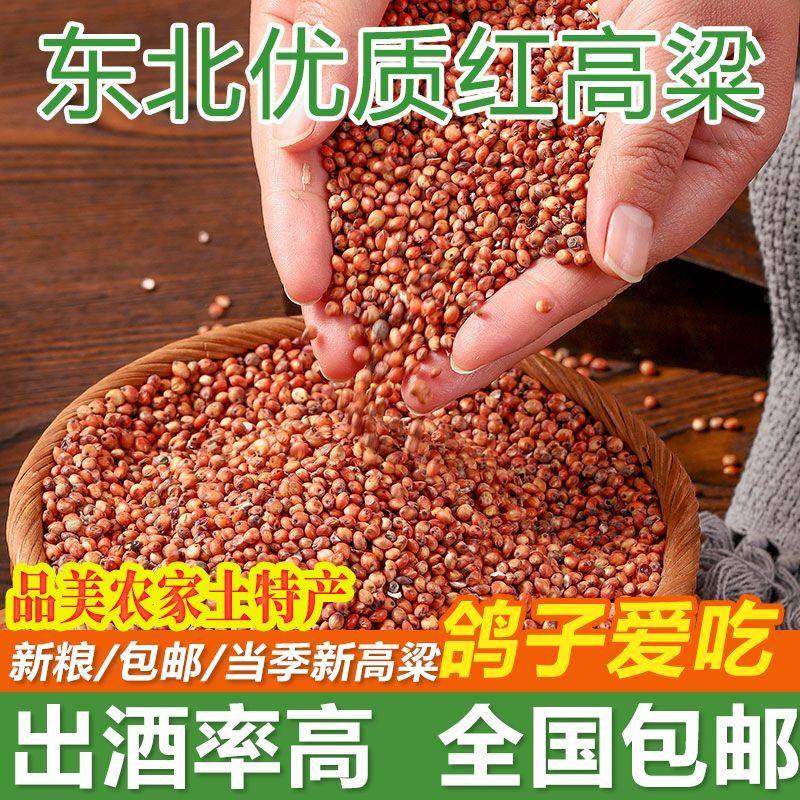 当季东北红高梁100斤装酿酒50斤未脱皮新高梁5斤喂鸽子饲料10kg,宠物/宠物食品及用品,鸽粮,淘宝优惠券,粉丝福利购,淘宝优惠卷
