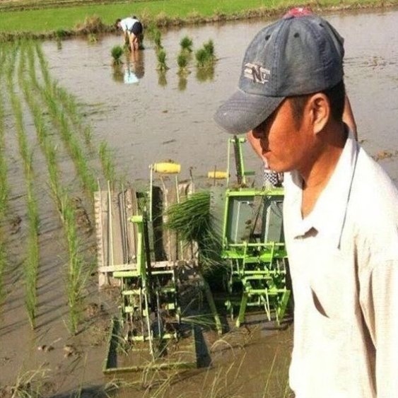 插秧机手摇斯麦林栽秧机手动农用小型水稻两行双排插禾机机种植,农机/农具/农膜,播种栽苗器/地膜机,淘宝优惠券,粉丝福利购,淘宝优惠卷