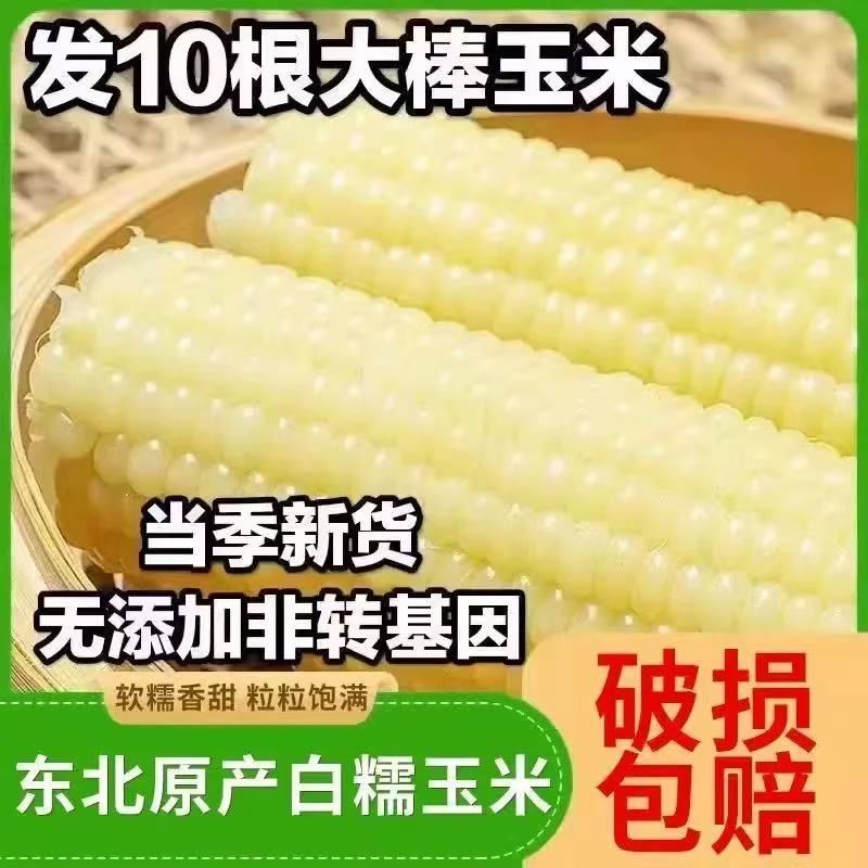 东北白糯玉米甜糯粘玉米棒真空装包非转基因新鲜粗粮代餐即食玉米