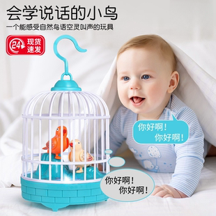 会学人说话的小鸟玩具仿真鹦鹉会唱歌宝宝学说话哄娃神器3岁--6岁