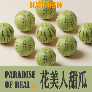 山东花美人甜瓜新鲜水果产地直发薄皮绿色小西瓜当季现摘香甜多汁