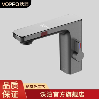 双模感应数显温度沃泊