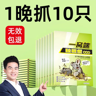 强力胶水老鼠粘加大加厚粘鼠板大老鼠贴超强家用神器一窝端黏鼠板