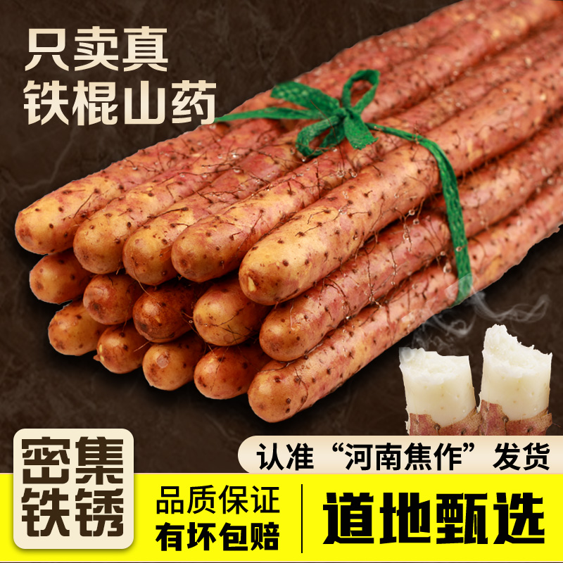铁棍山药新鲜密铁锈河南官方旗舰店正宗紫怀淮山铁杆焦作温县