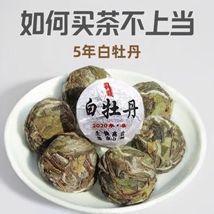 白牡丹龙珠白茶福鼎白茶5年白牡丹老白茶寿眉白毫银针礼盒装批发