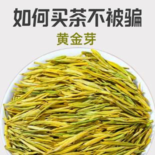 500g黄金芽茶叶2025年新茶雨前特级安吉茶树白茶绿茶礼盒罐装批发