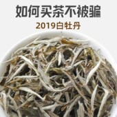 500g白牡丹福鼎白茶非特级6年荒野老白茶老寿眉贡眉散装 礼盒批发