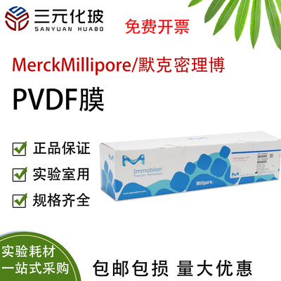 转印膜PVDF膜实验室印迹膜