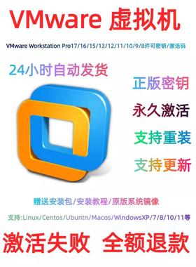 VMware虚拟机Pro17/16/15/14/13/12/10技术支持 远程安装(另付费)