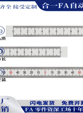 刻度尺BLR02/12/32/42/52/72-L60/L100/L200/L300铝标尺