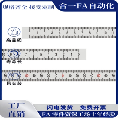 刻度尺BLR02/12/32/42/52/72-L60/L100/L200/L300铝标尺