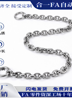 304不锈钢防脱落链条DPCH3/4/5/6/8/10-150/250/350