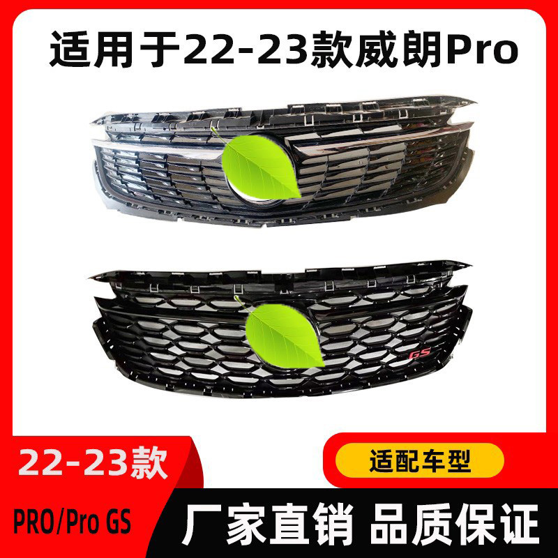 颜普适用于威朗中网GS