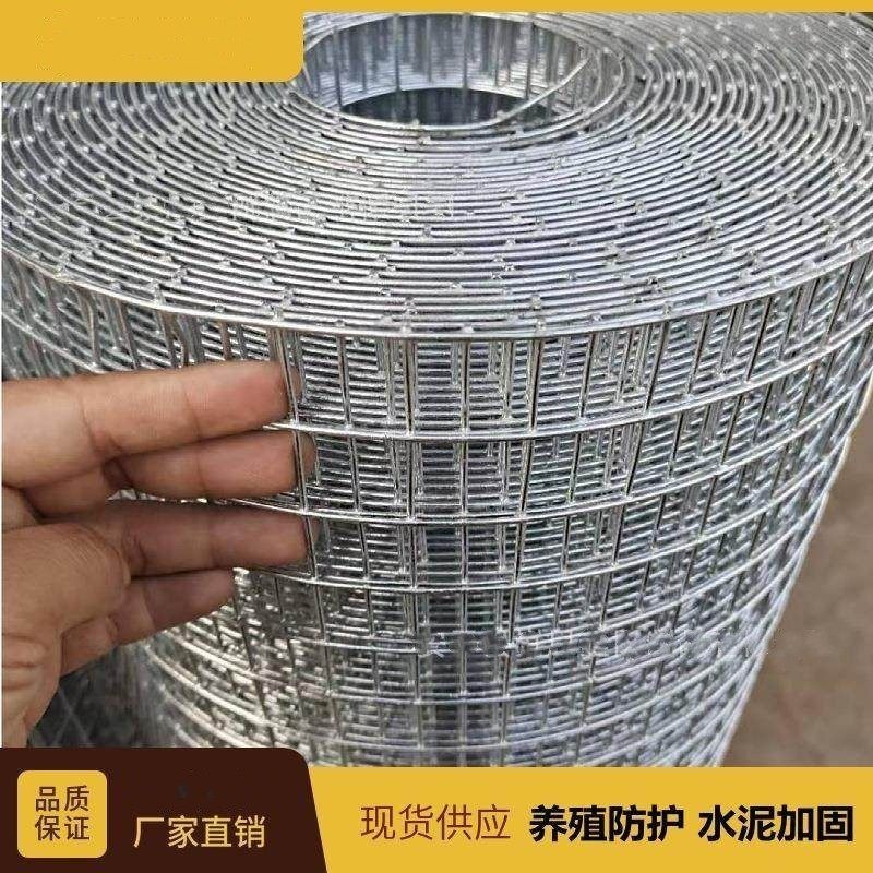 牛羊铁网围网养鸡专用网养殖围栏