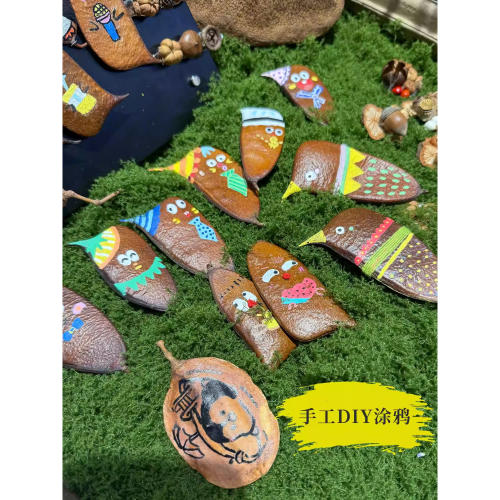 天然植物果实豆荚干花干果实组合摆设拍摄道具背景手工diy幼儿园