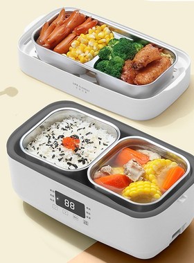 220V Electric Hot Pot Rice Cooker Portable Mini 2 Layer Lun