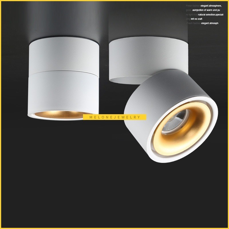 LukLoy 360 Adjustable Ceiling Spot rack Light, Surface Mount