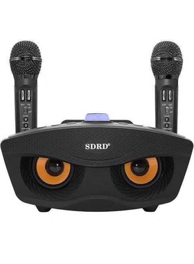 SD 306 Portable Family Karaoke System Two Wireless Microphon