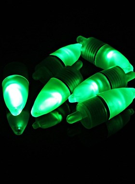 Newly 10 Pcs LED Light Night Float Fishing Rod Bite Shing Ac