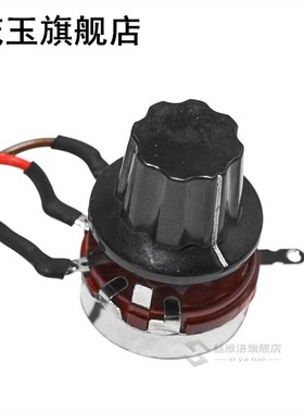 110-220V 500W Spindle Motor With Speed Governor 52mm Clamp