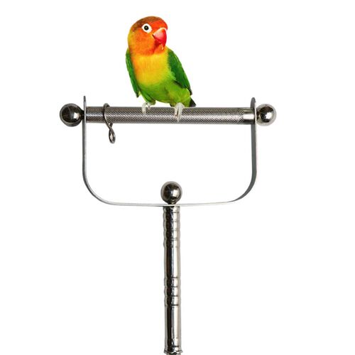 Bird Perch Stand Stainless Steel Parrot Perch Outdoor Handhe