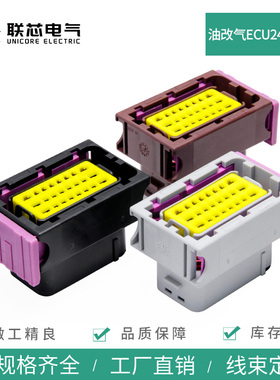 联芯电气211PC249S0005 汽车油改气ECU24针电脑板211PC249S8033