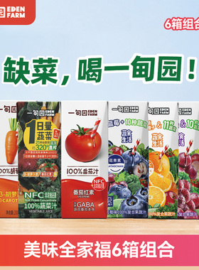 一甸园100%蔬菜汁 果蔬汁系列 轻松补蔬菜200mL*60盒
