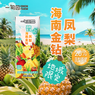 一甸园地域限定海南金钻凤梨味100%复合果蔬汁200mL 10盒1箱