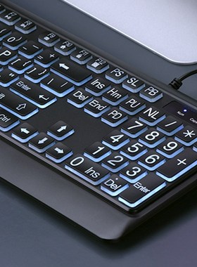 Large Font Print USB LED Backlit Keyboard 104 Keys Standard