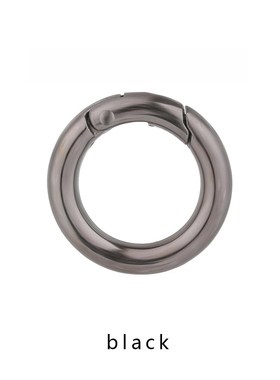 5pcs Gate Spring O-Ring Buckles s Carabiner Purses Handbags
