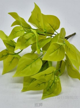 Lamination Model Epipremnum Aureum Pothos Model Plant Wall w
