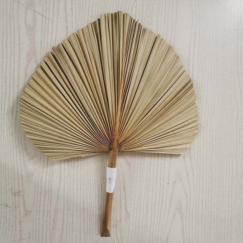 palm fan leaf dried flower palm leaf window reception party