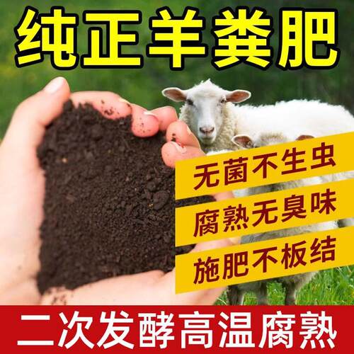 饰品Sheep manure and organic fertilizer are universal摆件