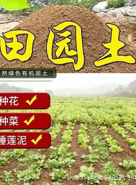 饰品Universal type of coconut brick nutrient soil for postage摆件
