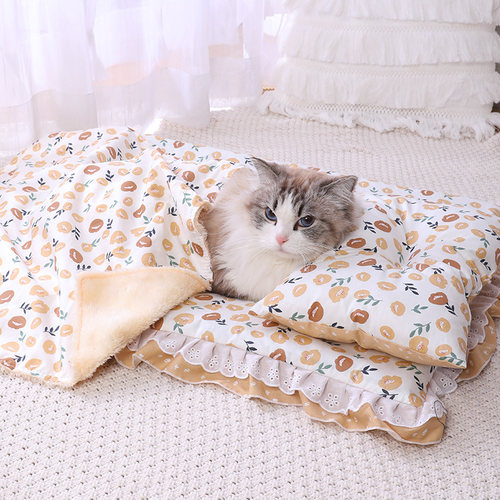 四季通用猫咪狗狗三件套春夏