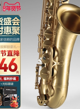 ROLLINS法国罗林斯萨克斯管乐器降b调次中音萨克斯9903专业演奏级