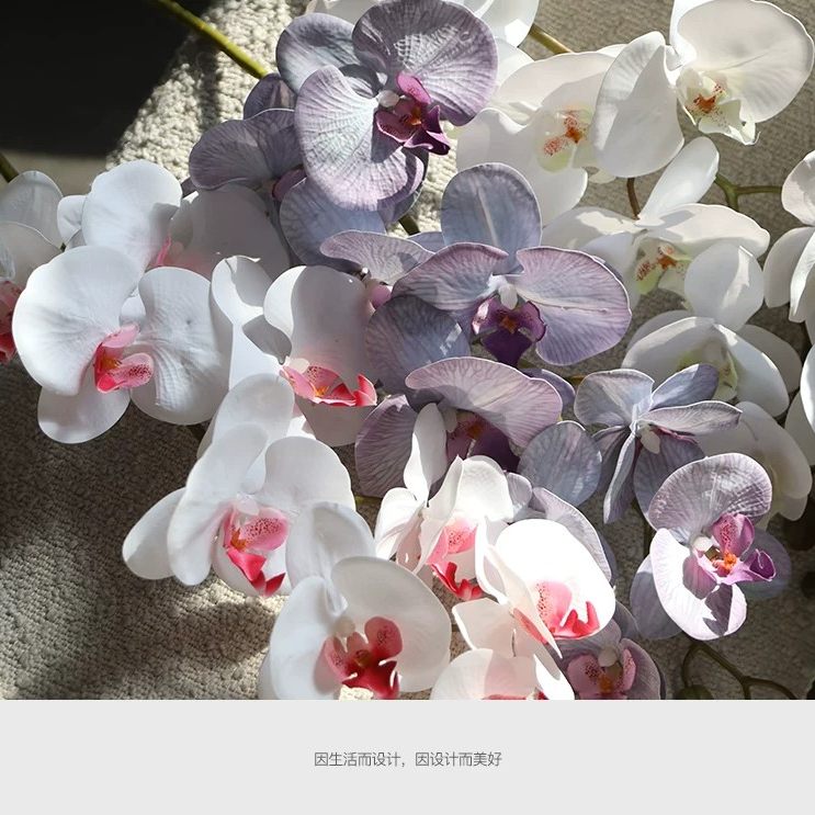 逼真仿真蝴蝶兰单支花 客厅玄关插花酒店宴会场景装饰假花摆件