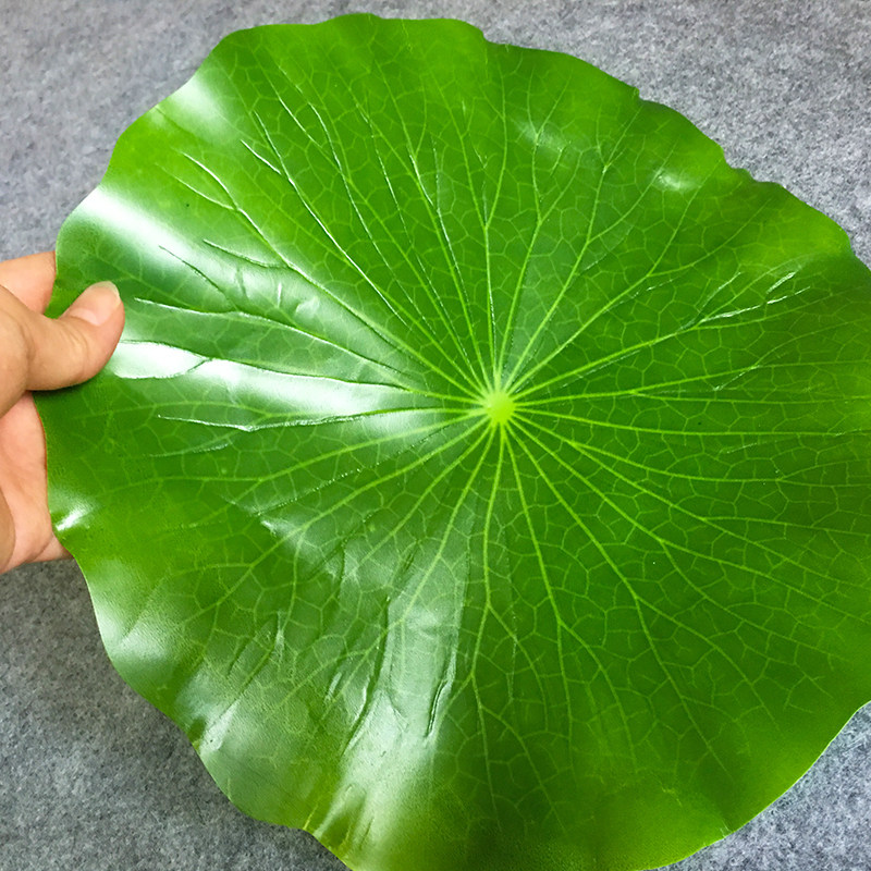 仿真荷叶垫绿色塑料胶布食物摆放荷叶商用食品级绿色假树植物叶