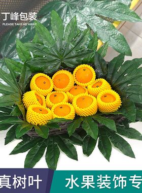 仿真绿色荷叶芭蕉叶快餐水果店装饰用品餐垫菜叶果蔬垫假塑料大叶
