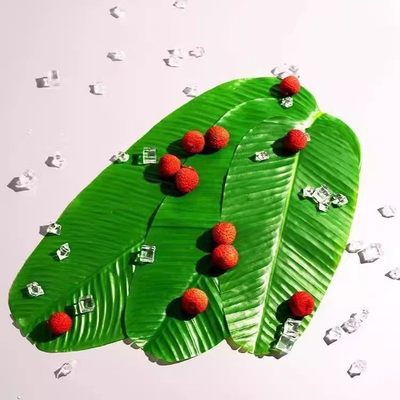 仿真芭蕉叶垫子胶布芭蕉叶水果蔬菜垫子大号烤肉垫烧烤小吃烤串垫