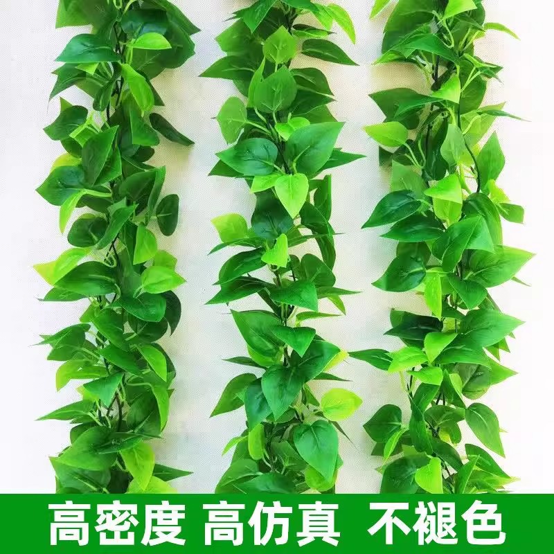 仿真藤条绿萝叶塑料假花装饰室内绿藤蔓植物假树叶壁挂遮挡绿叶子