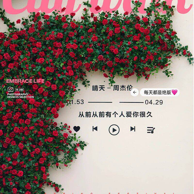 仿真玫瑰花藤蔓客厅阳台挂花藤条空调管子遮挡装饰塑料假花