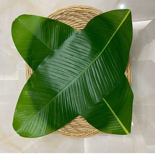 芭蕉叶仿真香蕉叶水果店装饰叶片大绿叶子餐厅烧烤摆摊垫底假树叶