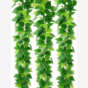 仿真绿植长藤绿萝挂墙上树叶藤条装饰绿藤藤蔓花藤管道遮挡绿叶