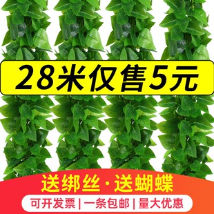 饰仿真绿萝叶空调水管道遮挡藤蔓暖气栏杆塑料树叶 假花藤条缠绕装