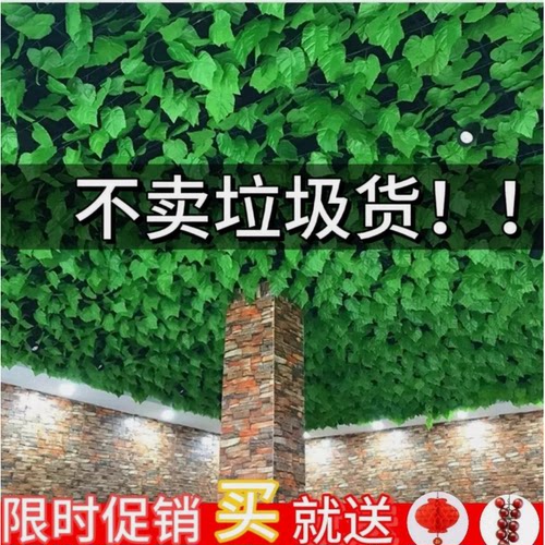 墙面挂饰仿真藤条绿萝装饰假树叶绿藤藤蔓塑料花藤水管道遮挡绿叶